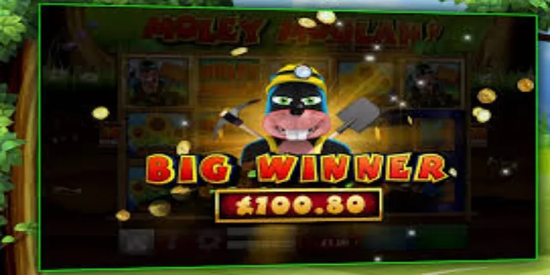 摩利财富老虎机的最大赢利、RTP与波动性-多宝体育