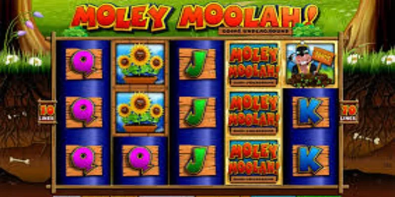 摩利财富老虎机的特色功能-多宝体育