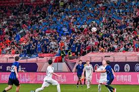 未来潜力与领导力-  多宝体育