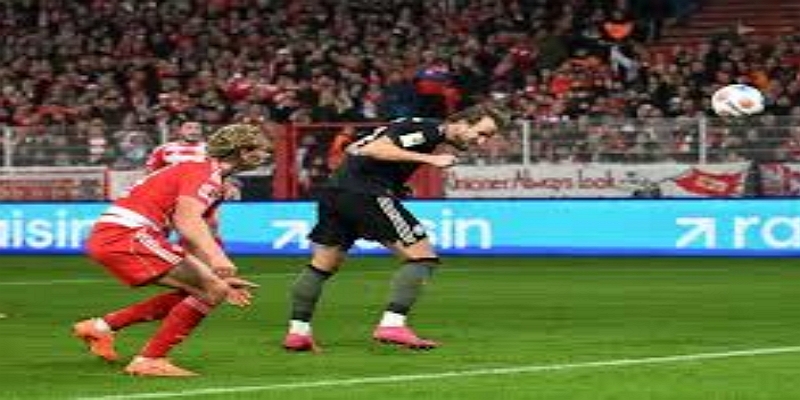 凯恩的选择：荣誉、纪录与个人发展-多宝体育