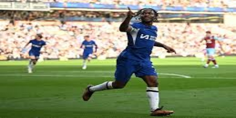 新面孔与老将回归- 多宝体育