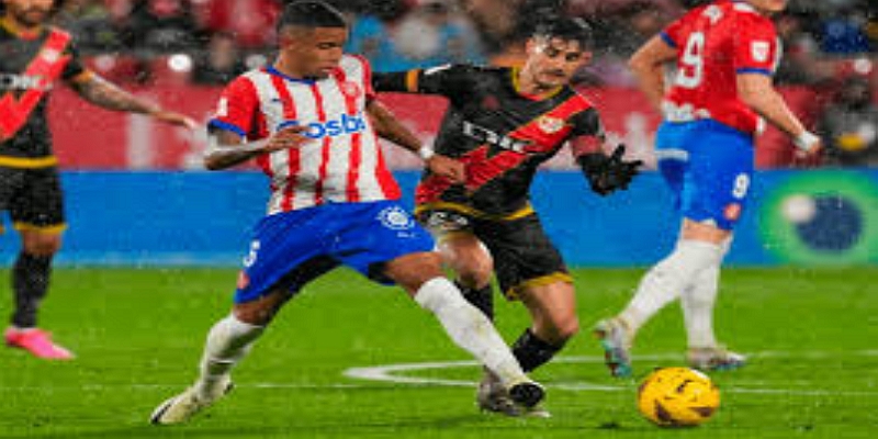 本轮整体格局与竞争背景分析 - 多宝体育