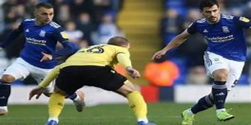 教练更迭频繁成为崩盘导火索-多宝体育