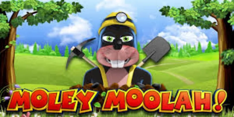 摩利财富老虎机的游戏玩法-多宝体育