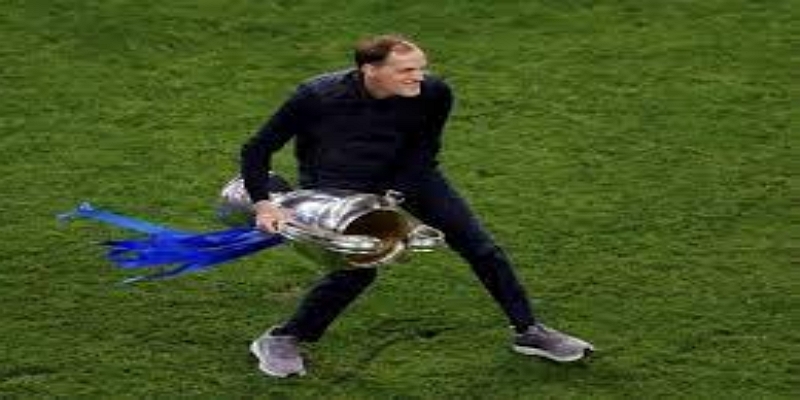 稳定与成长—圣徒体系的长期价值- 多宝体育